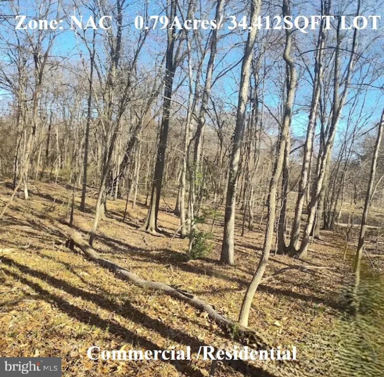 Washington Metro Area Real Estate | View SAINT BARNABAS ROAD