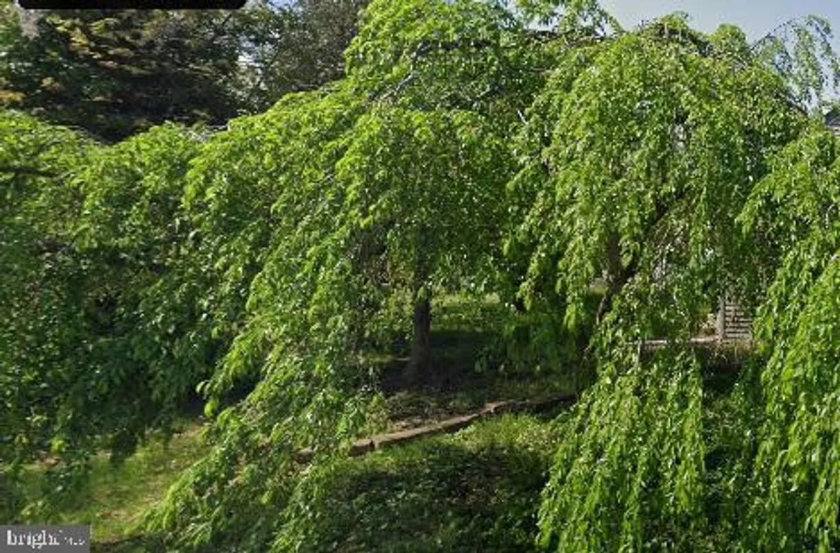 Central NJ/Bucks County, PA Real Estate | View 