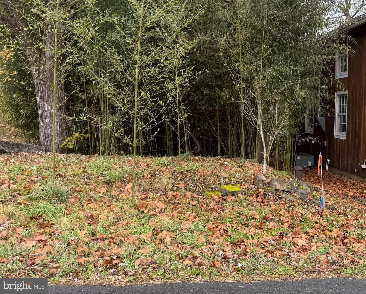 Washington Metro Area Real Estate | View MILLWOOD ROAD