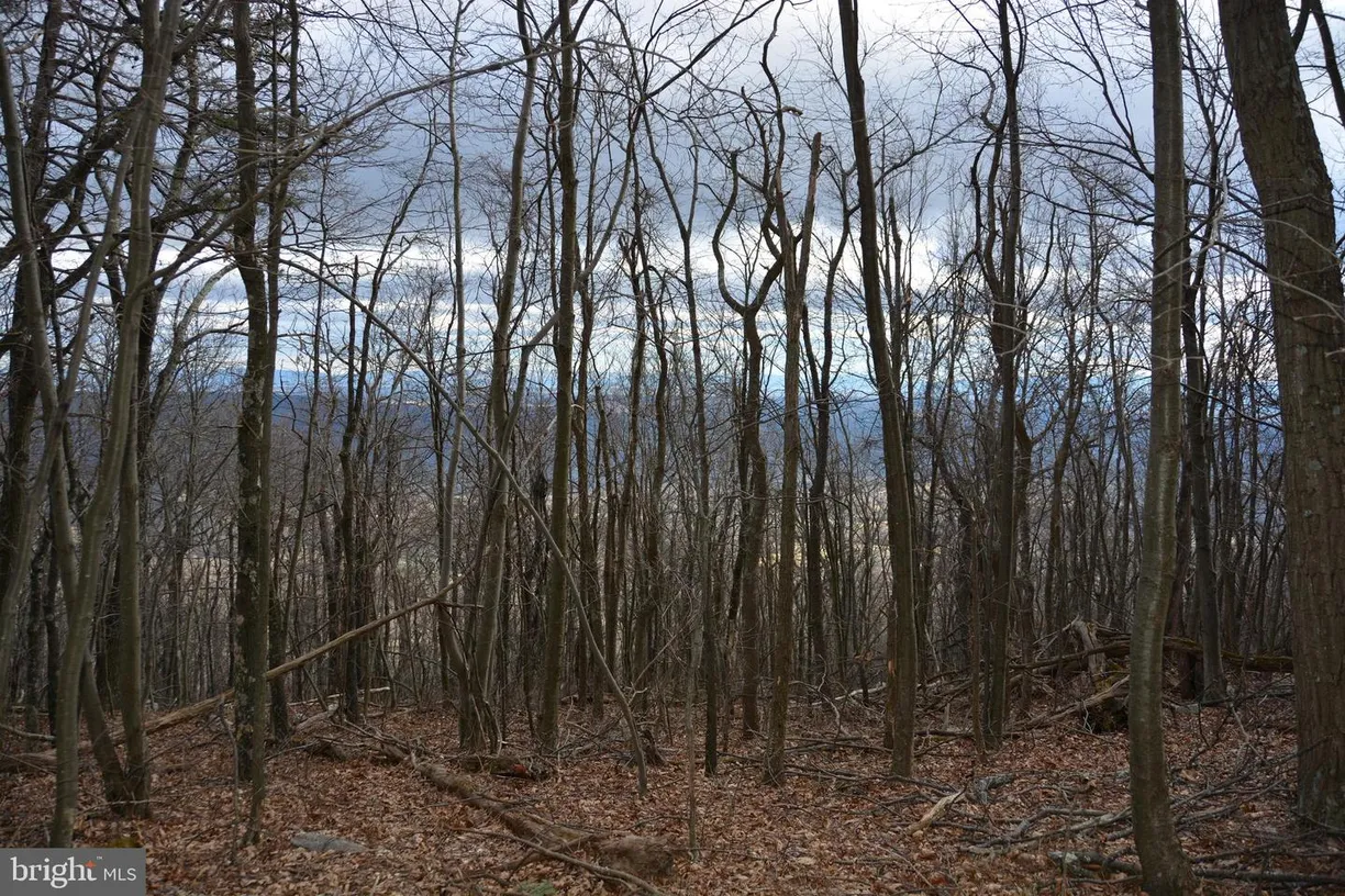 Washington Metro Area Real Estate | View ROCKWOOD TRAIL, 49.61 Acres