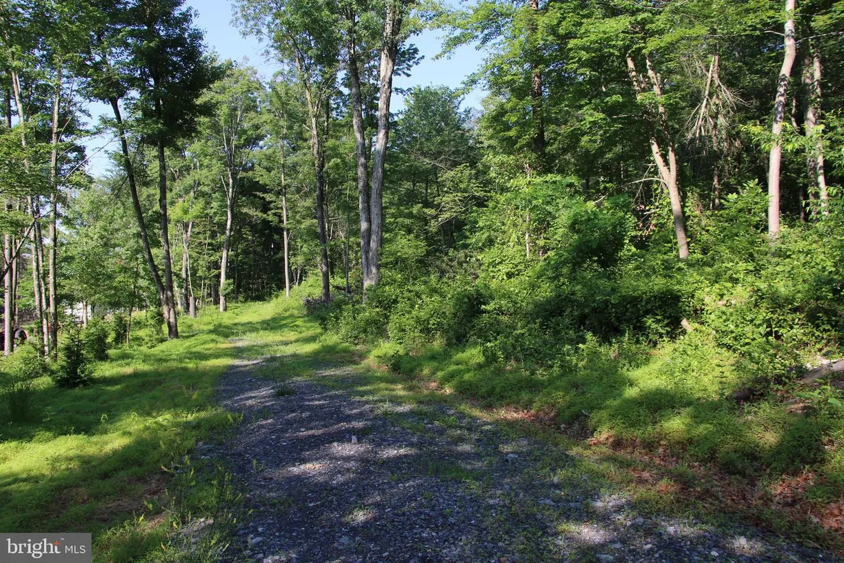 Washington Metro Area Real Estate | View GOUGH ROAD | Listing