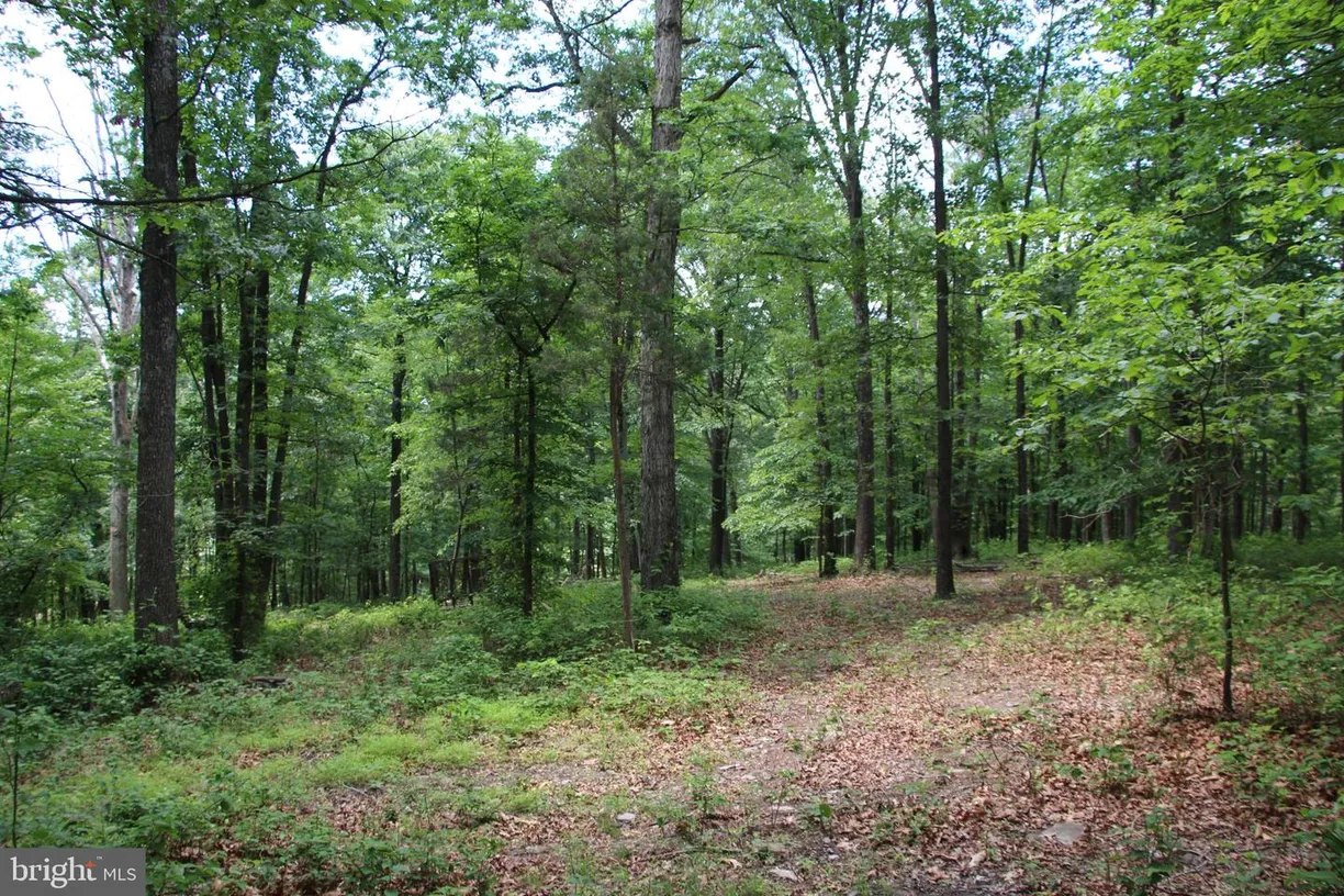 Washington Metro Area Real Estate | View GOUGH ROAD