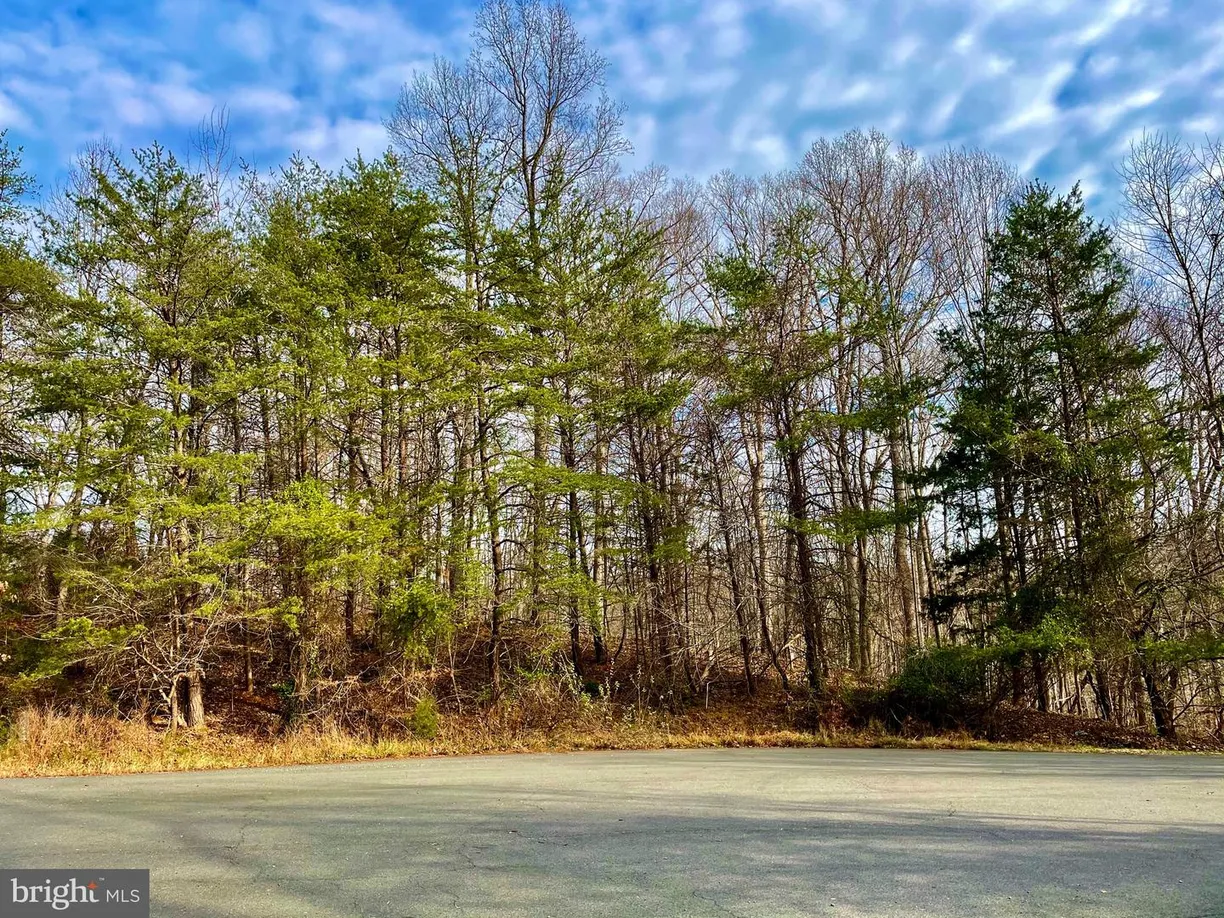 Washington Metro Area Real Estate | View 390 Nichols Run Ct