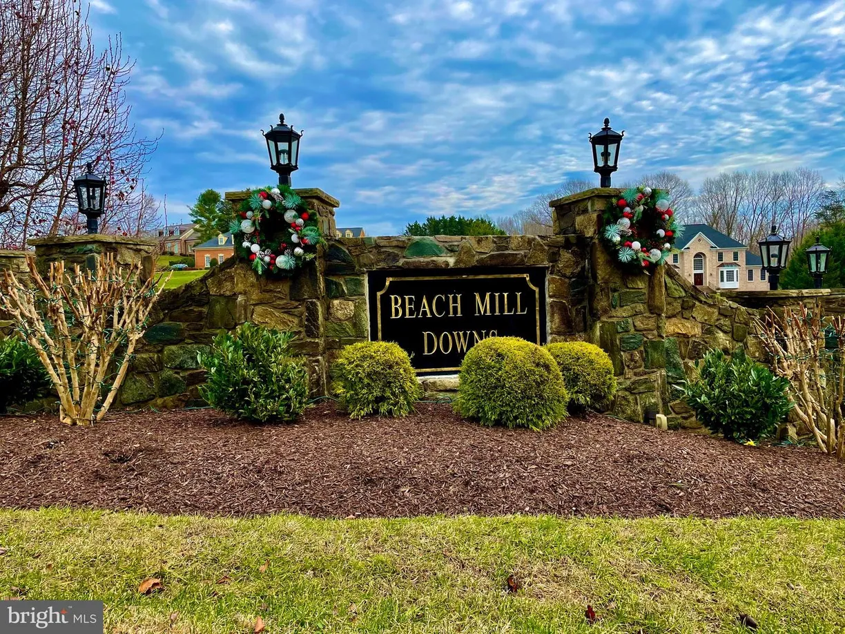 Washington Metro Area Real Estate | View 390 Nichols Run Ct | Listing
