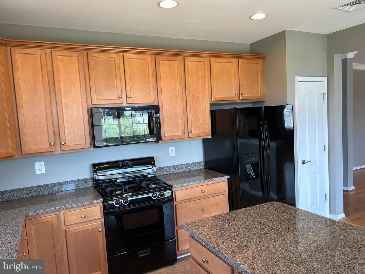 Washington Metro Area Real Estate | View 44133 Peirosa Ter | Listing