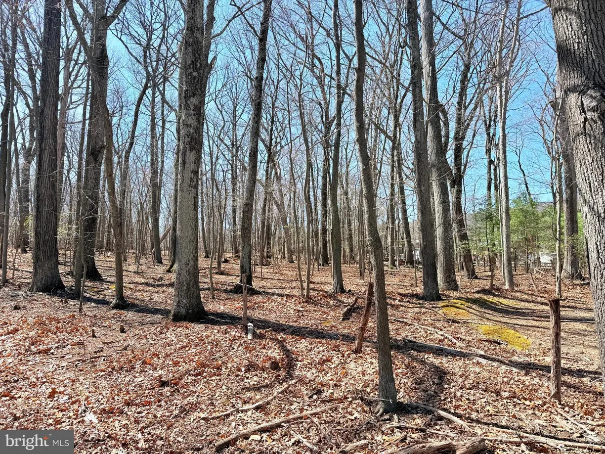 Washington Metro Area Real Estate | View 2708 Mountain Rd | Listing