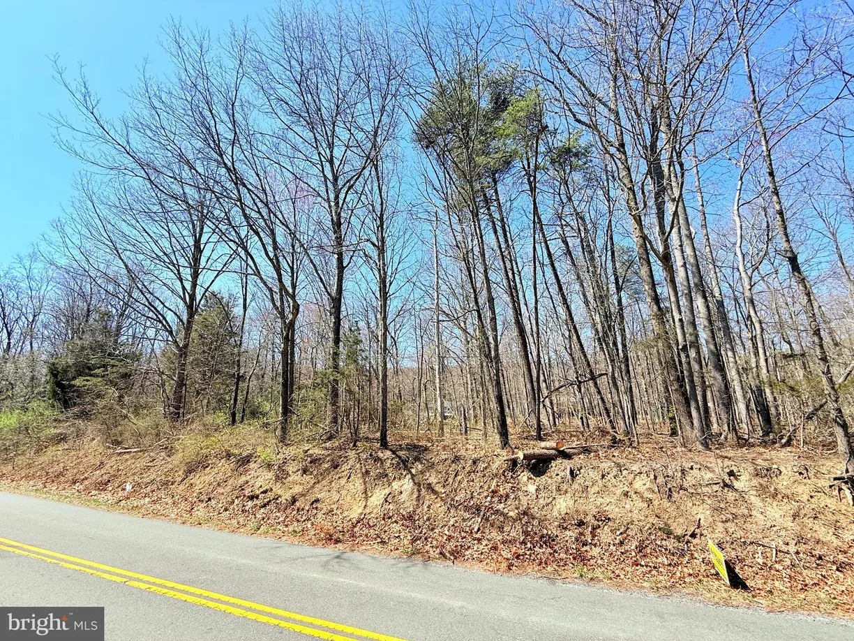 Washington Metro Area Real Estate | View 2708 Mountain Rd
