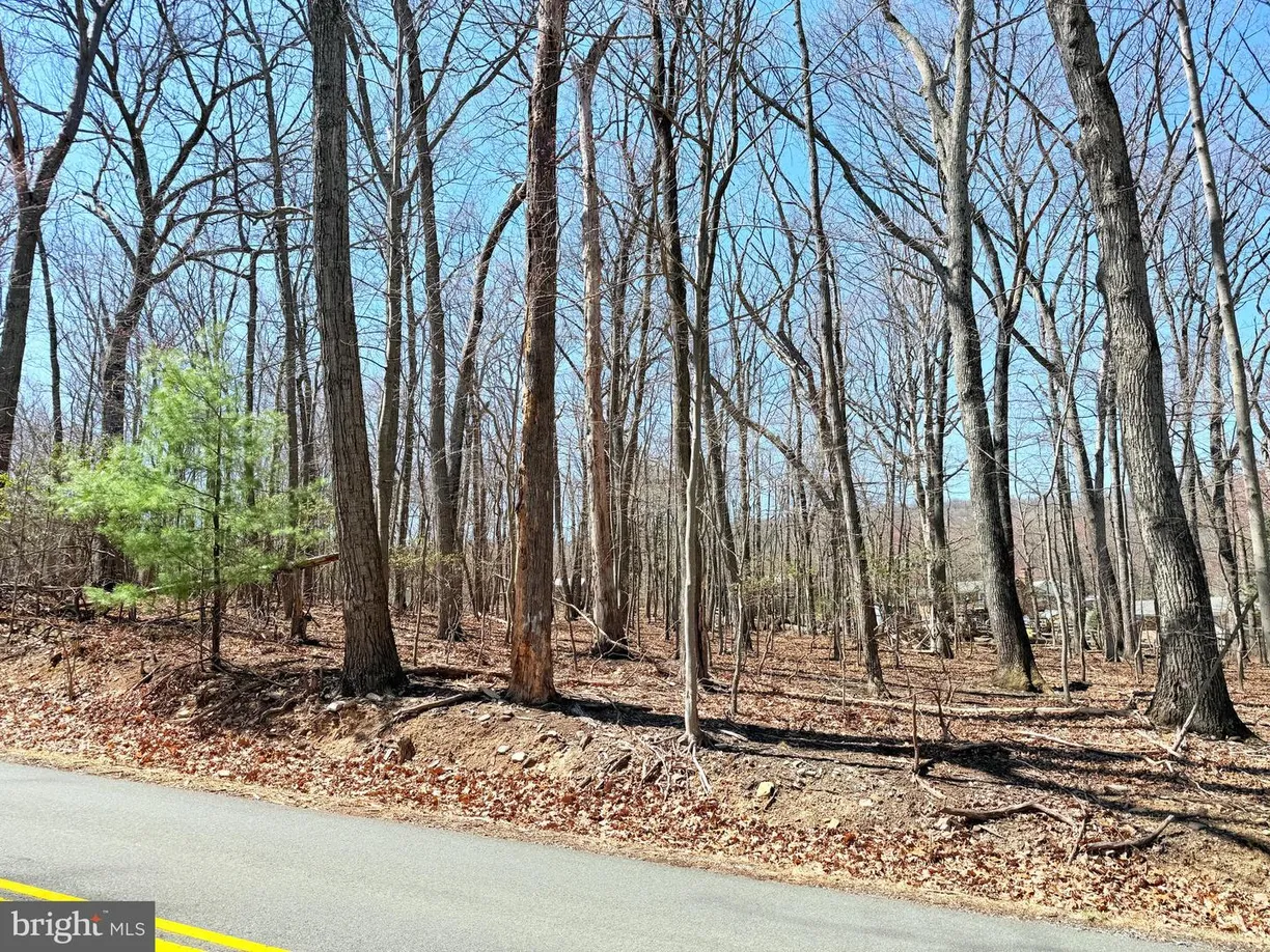 Washington Metro Area Real Estate | View 2708 Mountain Rd | Listing