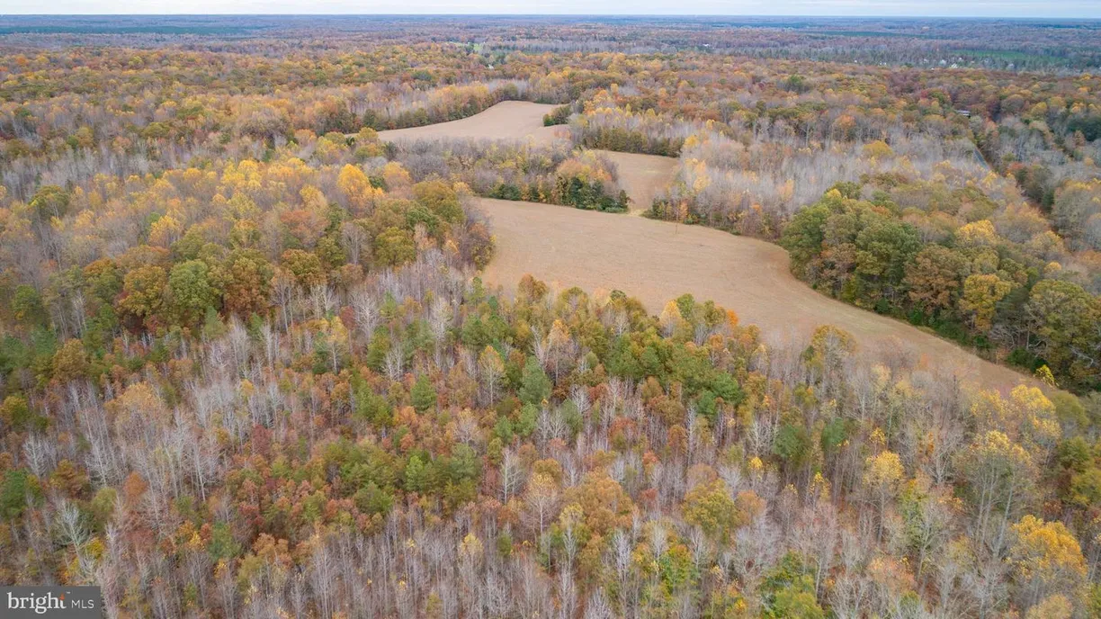 Washington Metro Area Real Estate | View 5304 Partlow Rd