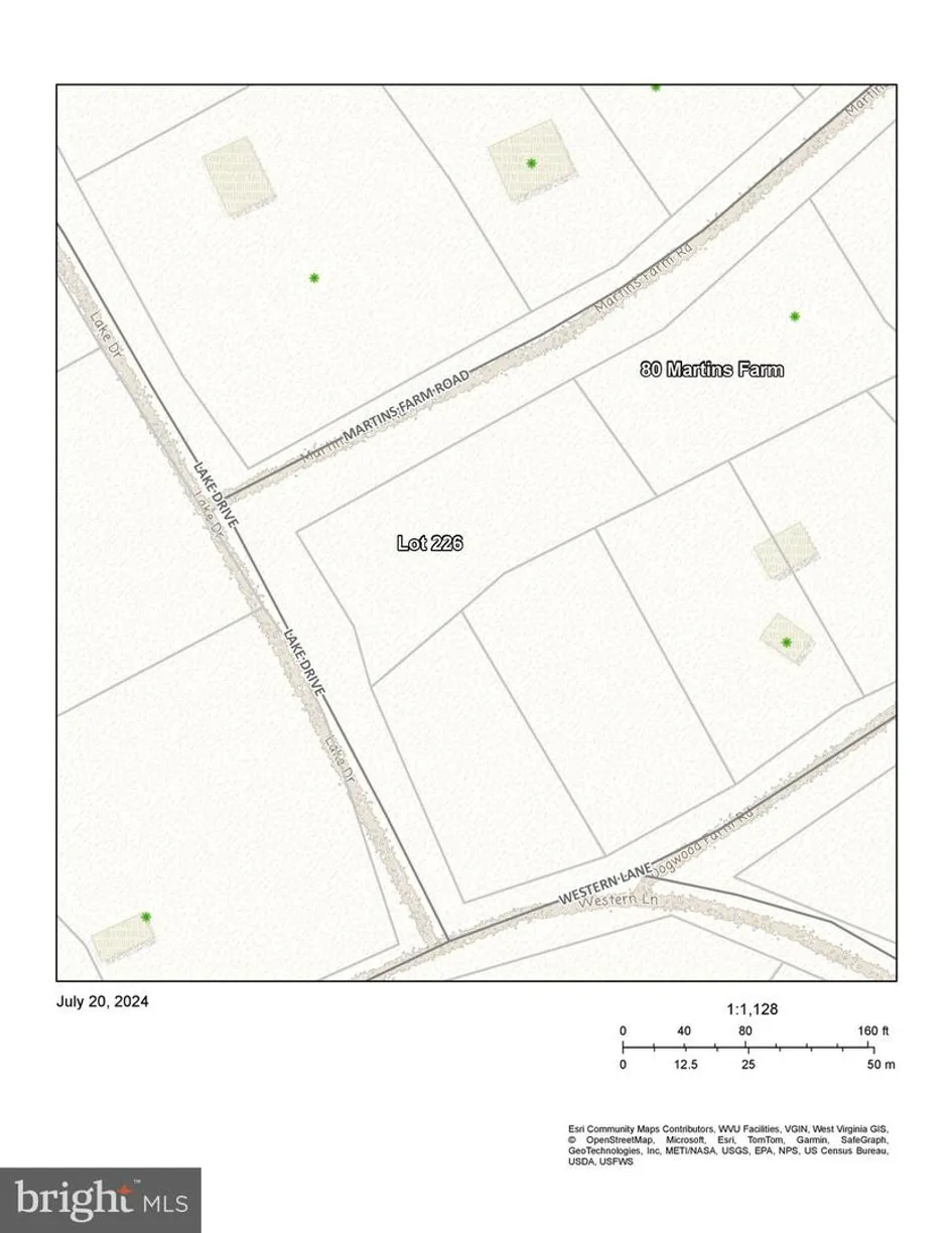 Washington Metro Area Real Estate | View Lot 226 Martins Farm Rd