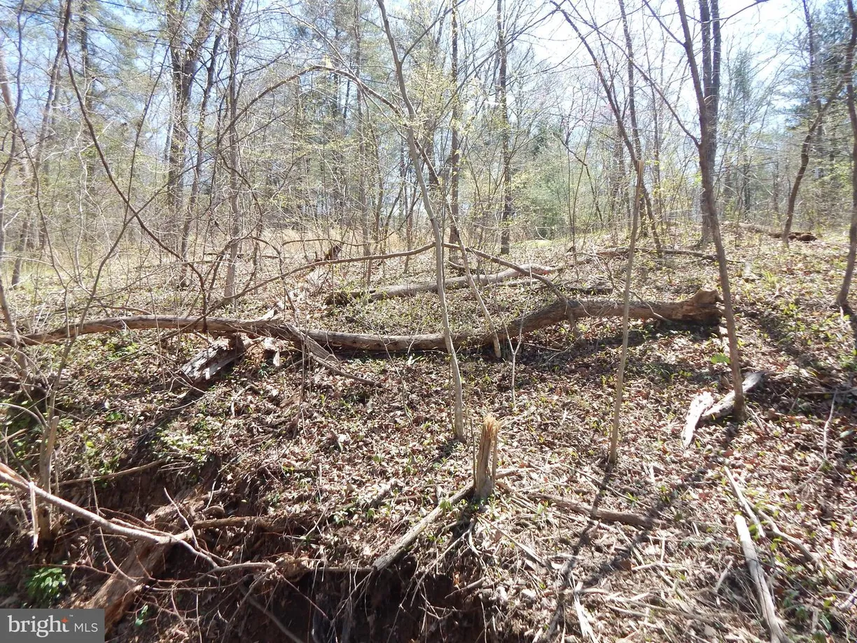 Washington Metro Area Real Estate | View Lot 1-B Lot 1-b Cannon Hill Rd