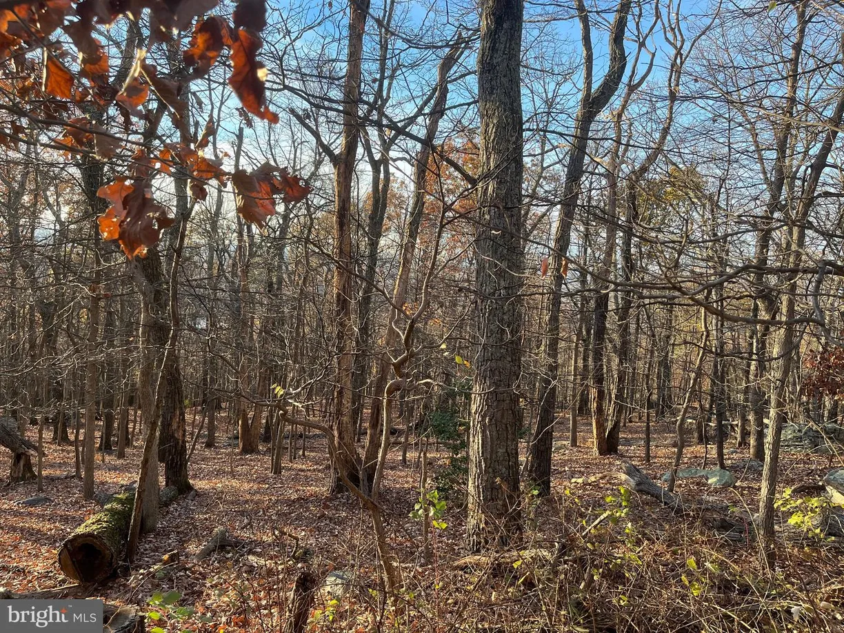 Washington Metro Area Real Estate | View ALTA VISTA