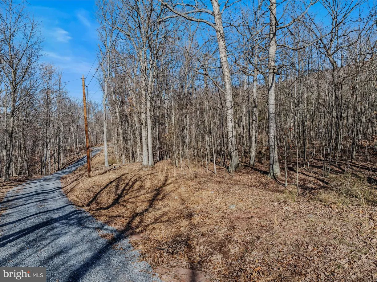 Washington Metro Area Real Estate | View SPRING DR LOT 9A