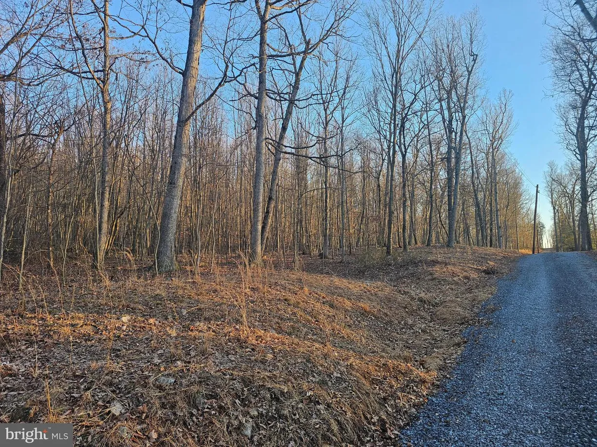 Washington Metro Area Real Estate | View SPRING DR LOT 9A | Listing