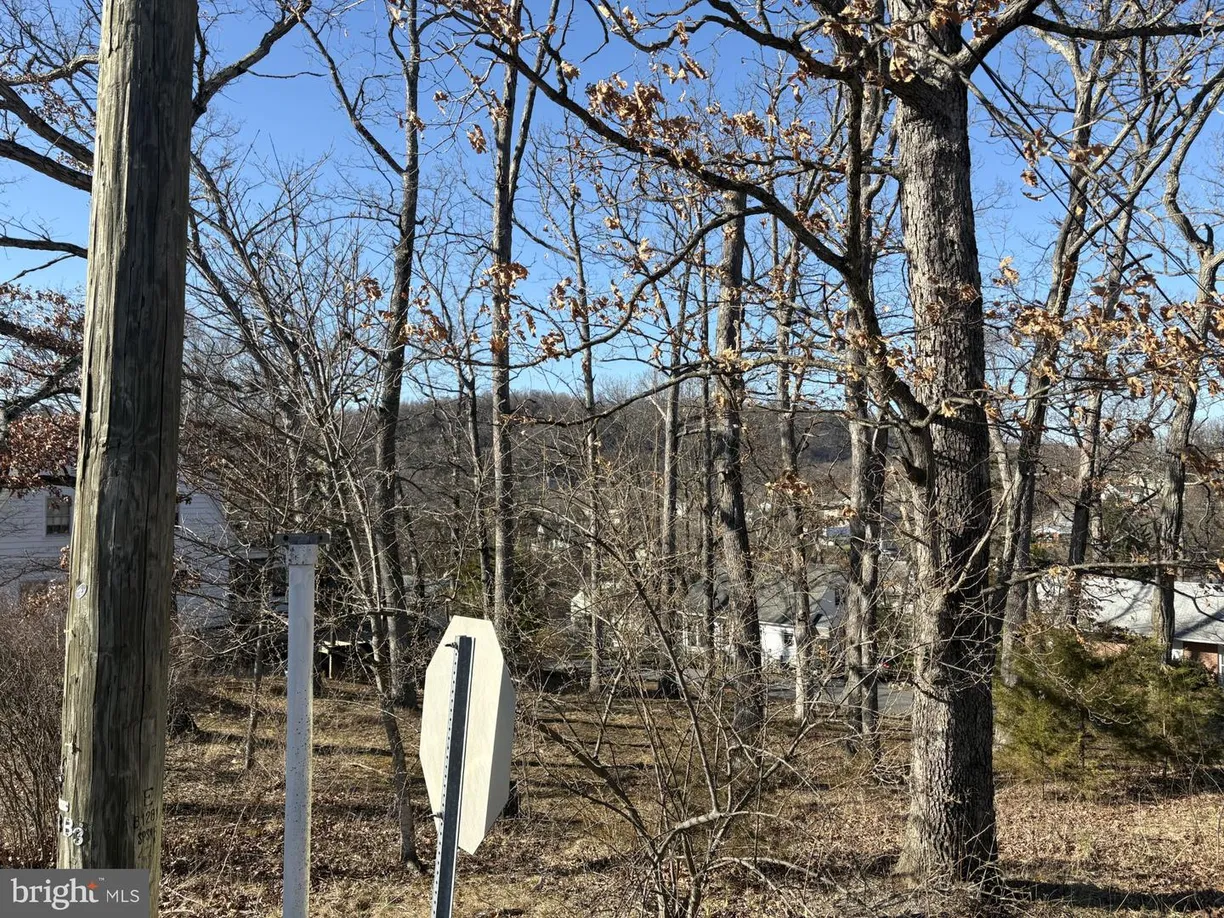 Washington Metro Area Real Estate | View JOHNSON MILL RD