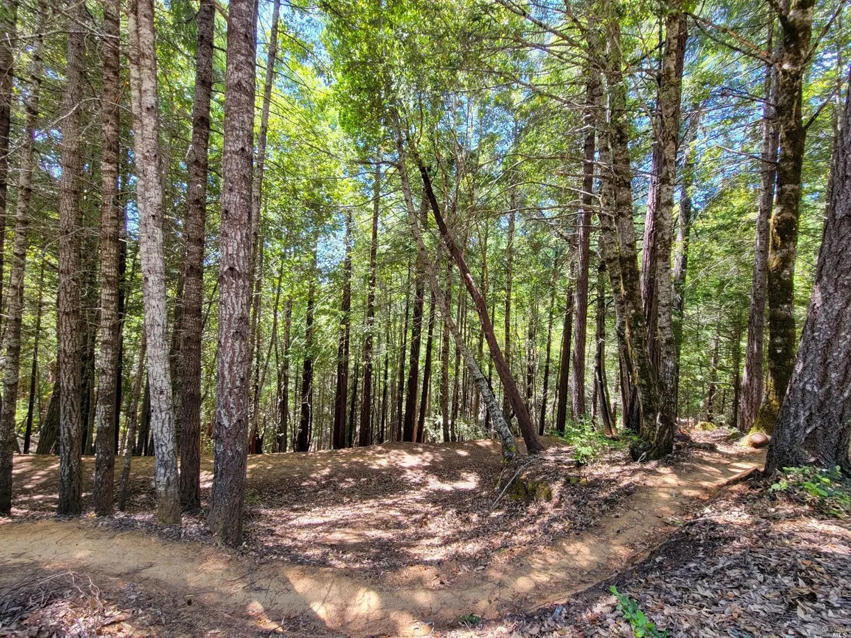 Northern California Real Estate | View 0 Clover | Listing