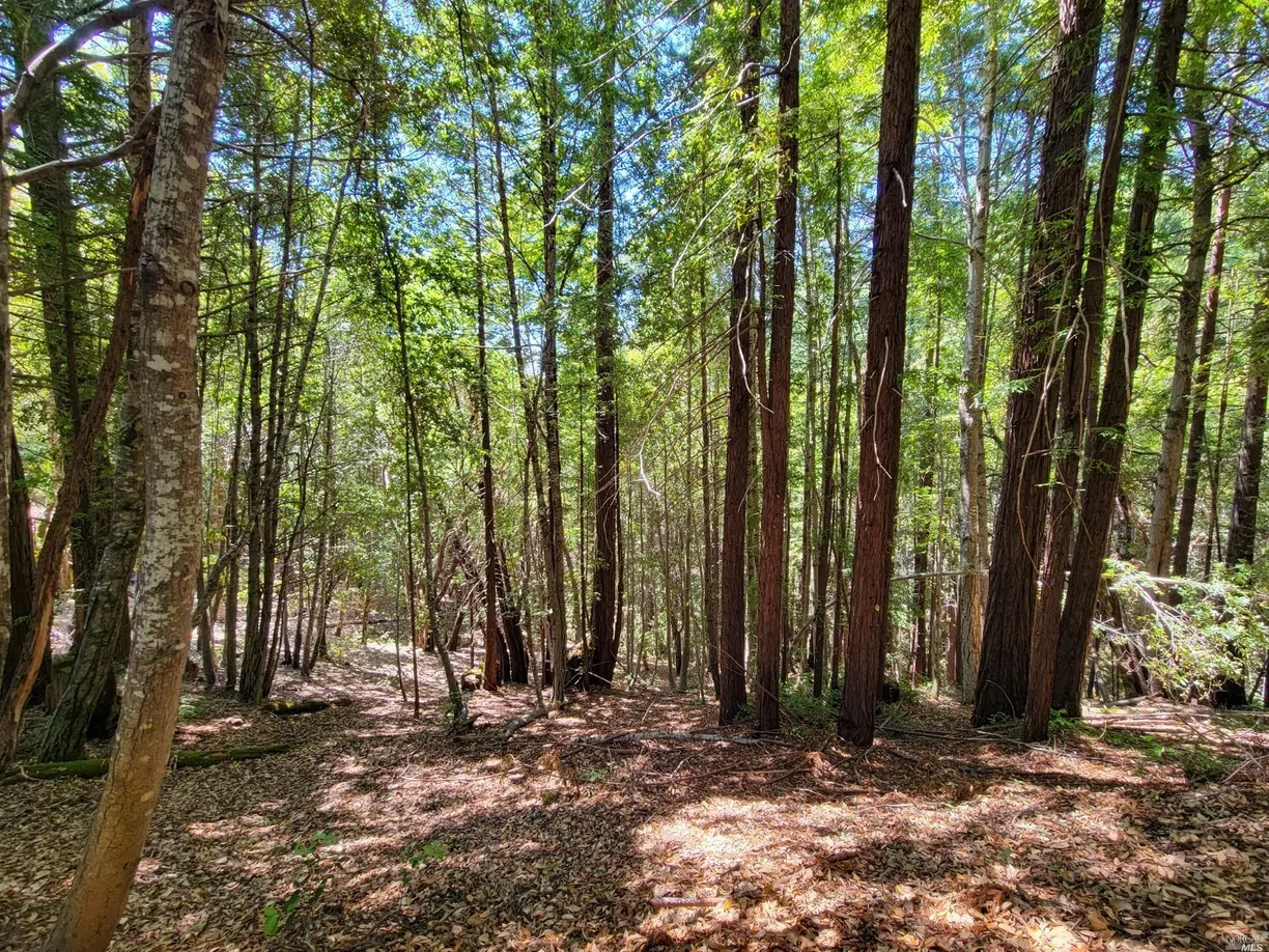 Northern California Real Estate | View 0 Clover