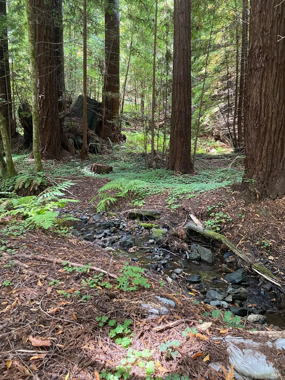 Northern California Real Estate | View 1545 Cazadero