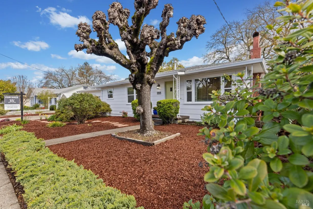 Northern California Real Estate | View 1828 Albany Drive | 3 Beds, 1 Bath