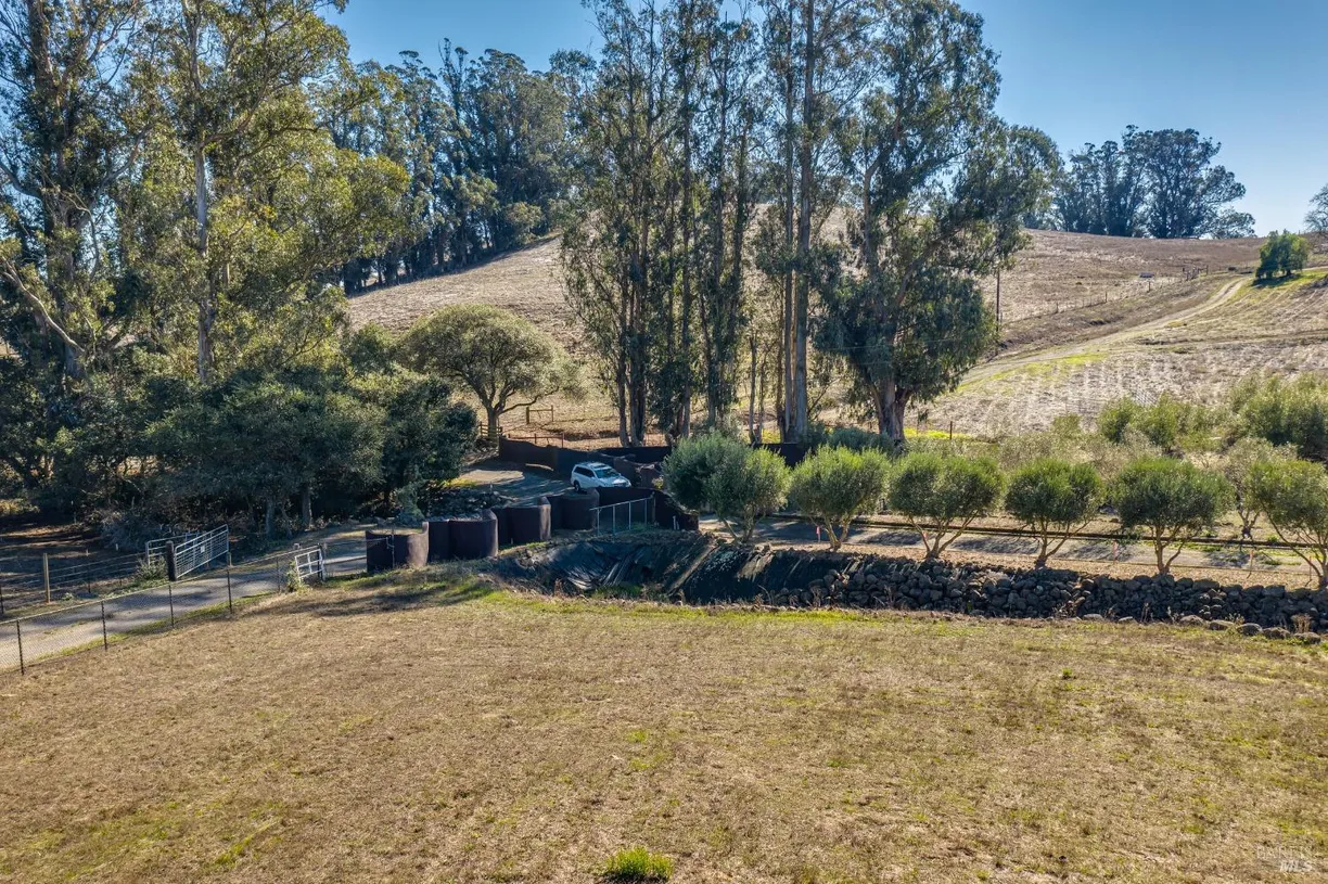 Northern California Real Estate | View 1355 Rose | Listing