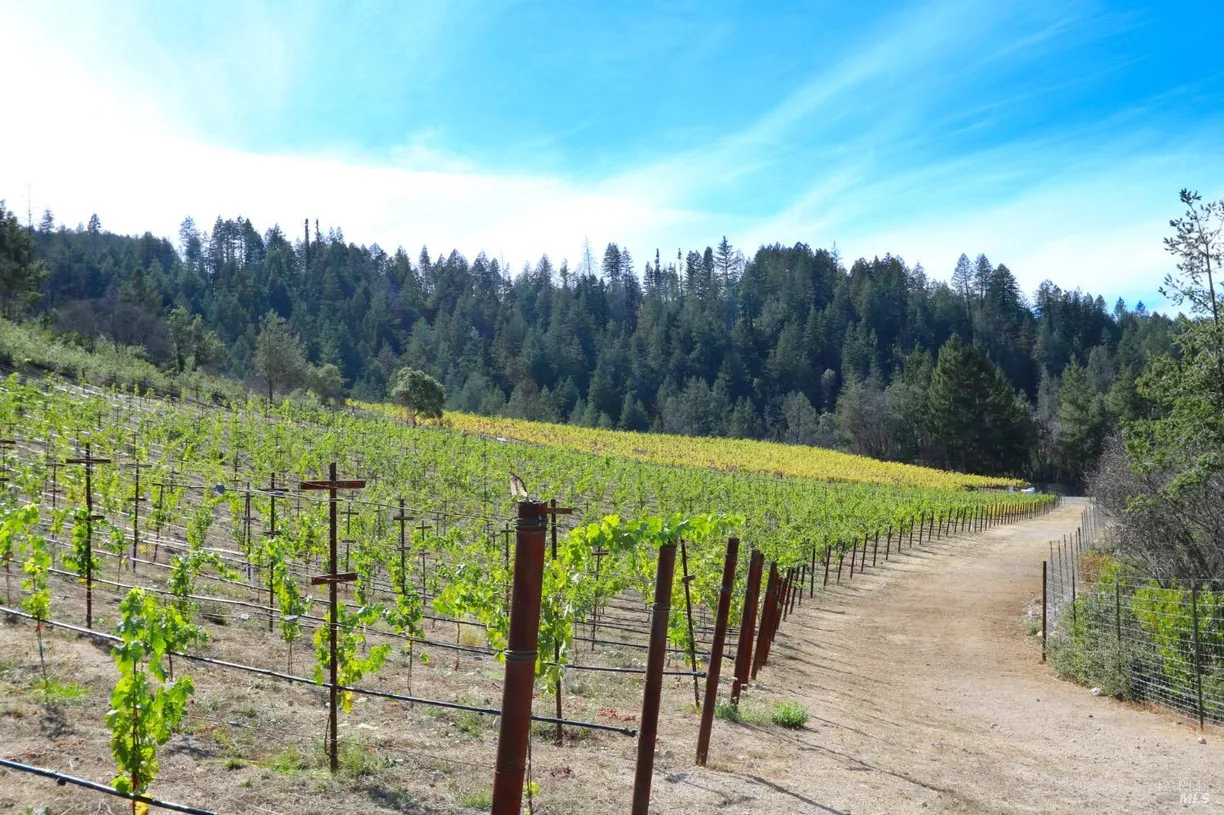 Northern California Real Estate | View 1755 Diamond Mountain Road | Listing