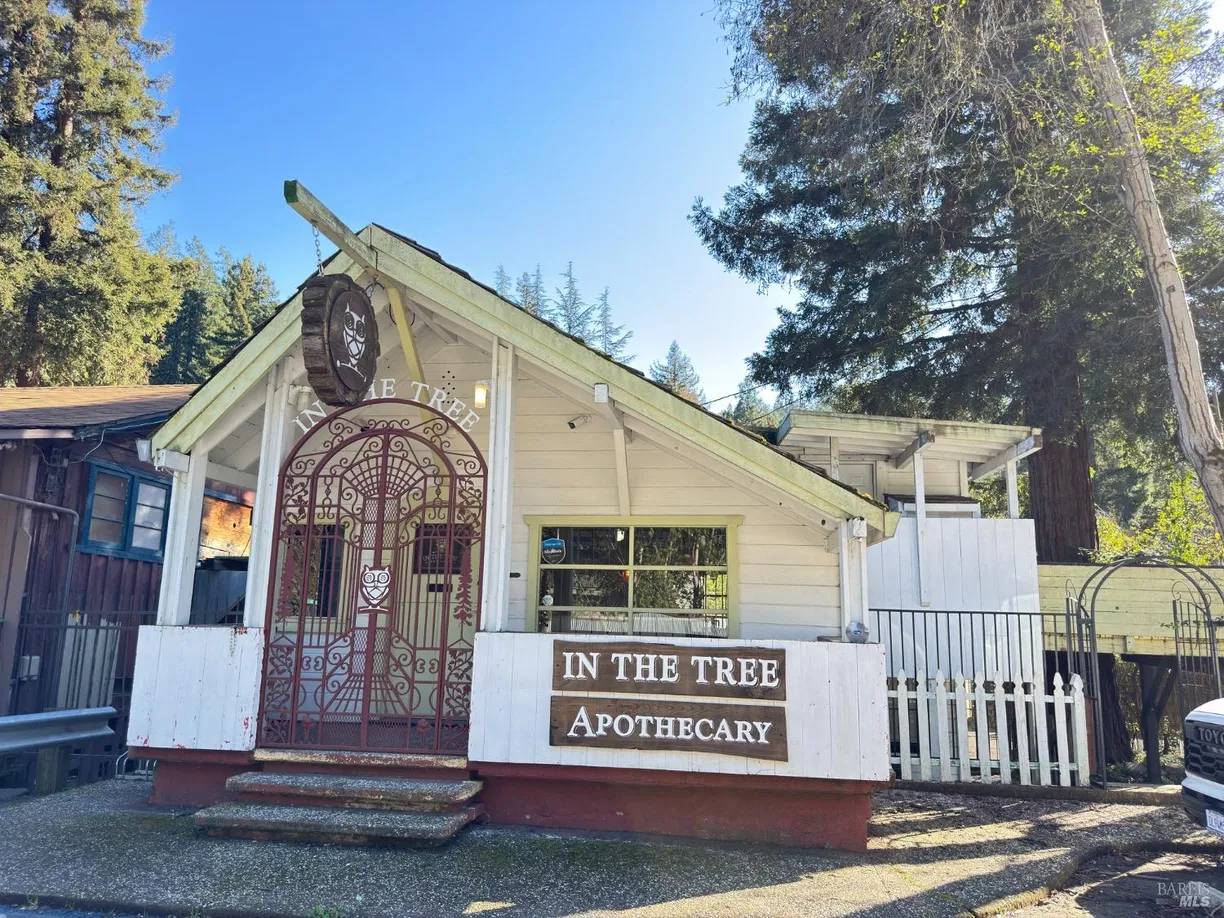 Northern California Real Estate | View 10665 River