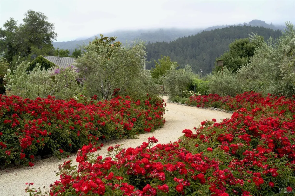 Northern California Real Estate | View 1480 S Whitehall Lane | Listing