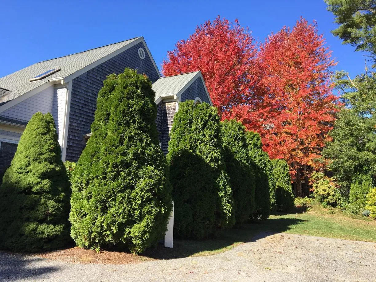 Boston, MA Real Estate | View 75 Blue Spruce | 2 Beds, 2 Baths