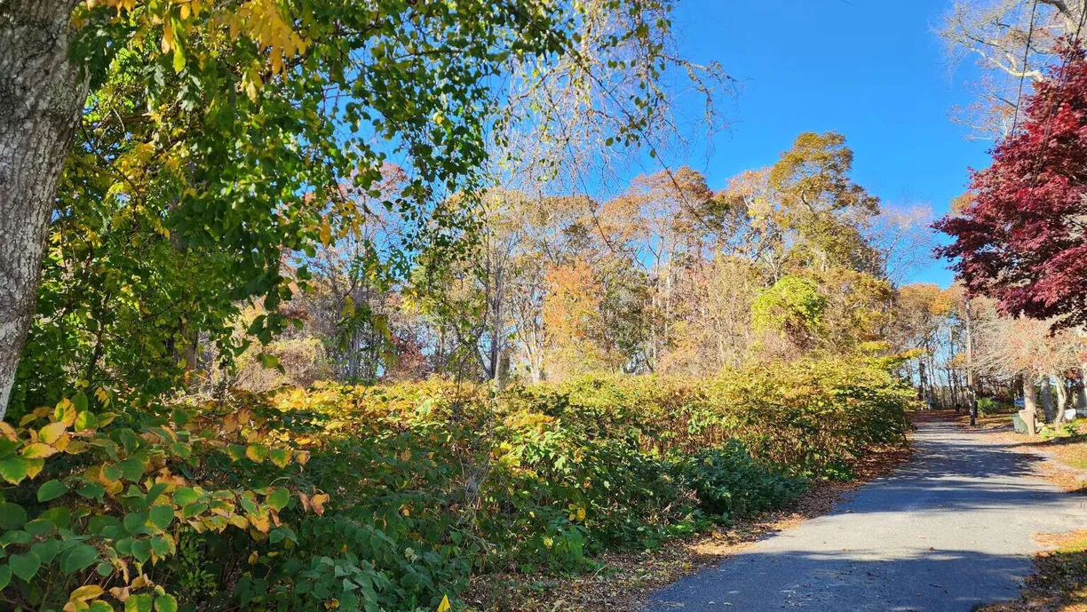 Boston, MA Real Estate | View 17 Angus | Listing
