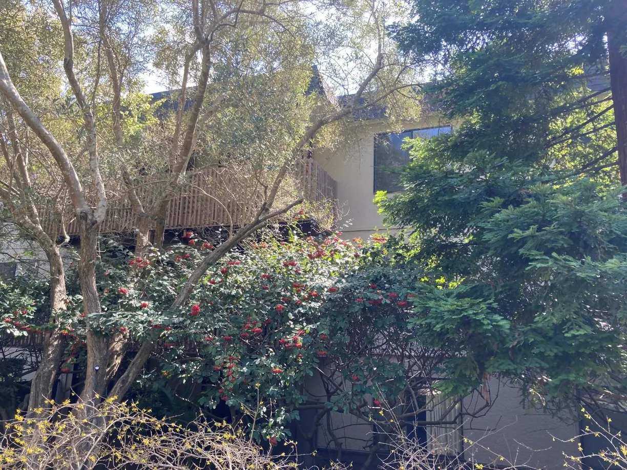 Northern California Real Estate | View 6329 Shelter Creek Lane | 1 Bed, 1 Bath