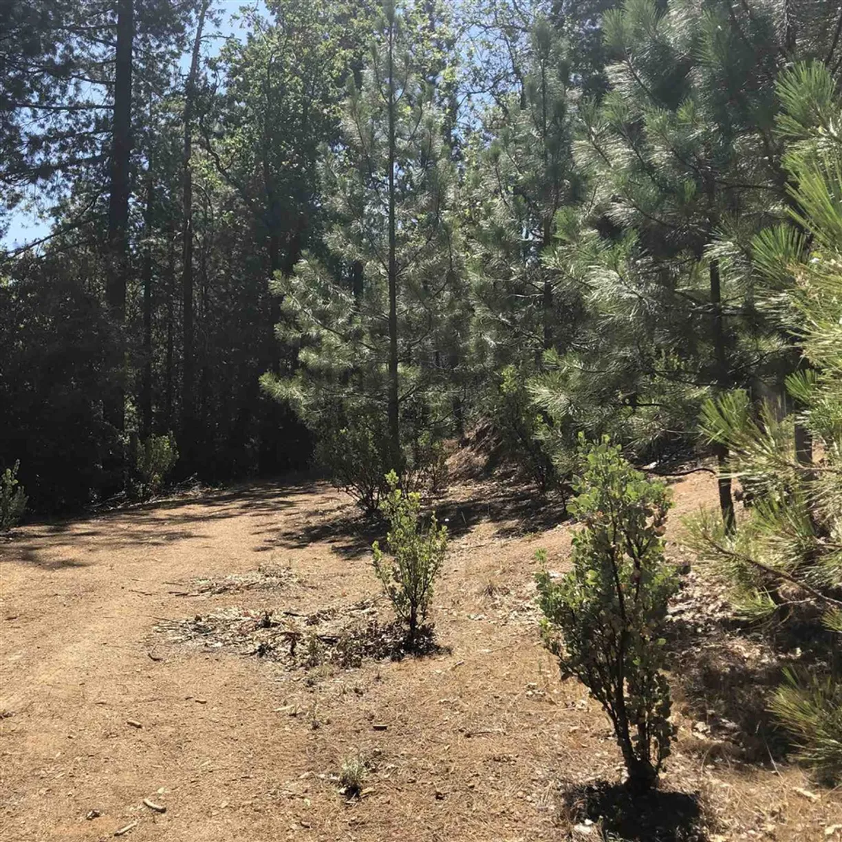Northern California Real Estate | View 