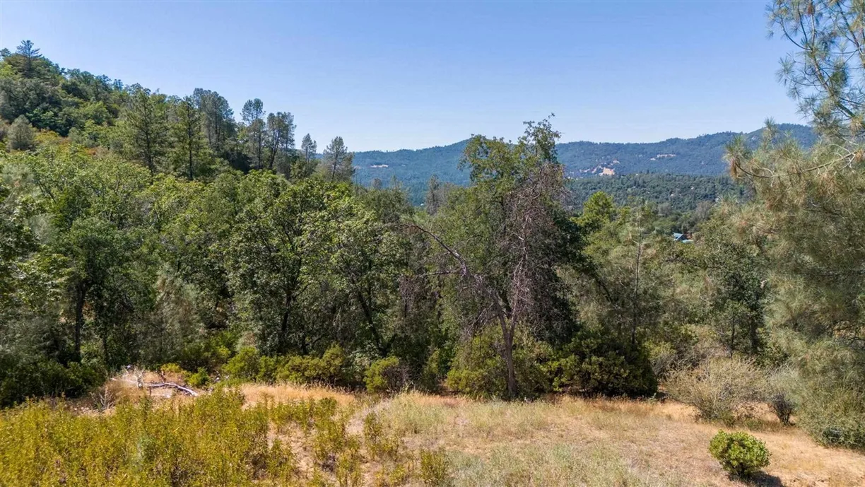 Northern California Real Estate | View Parkridge | Listing
