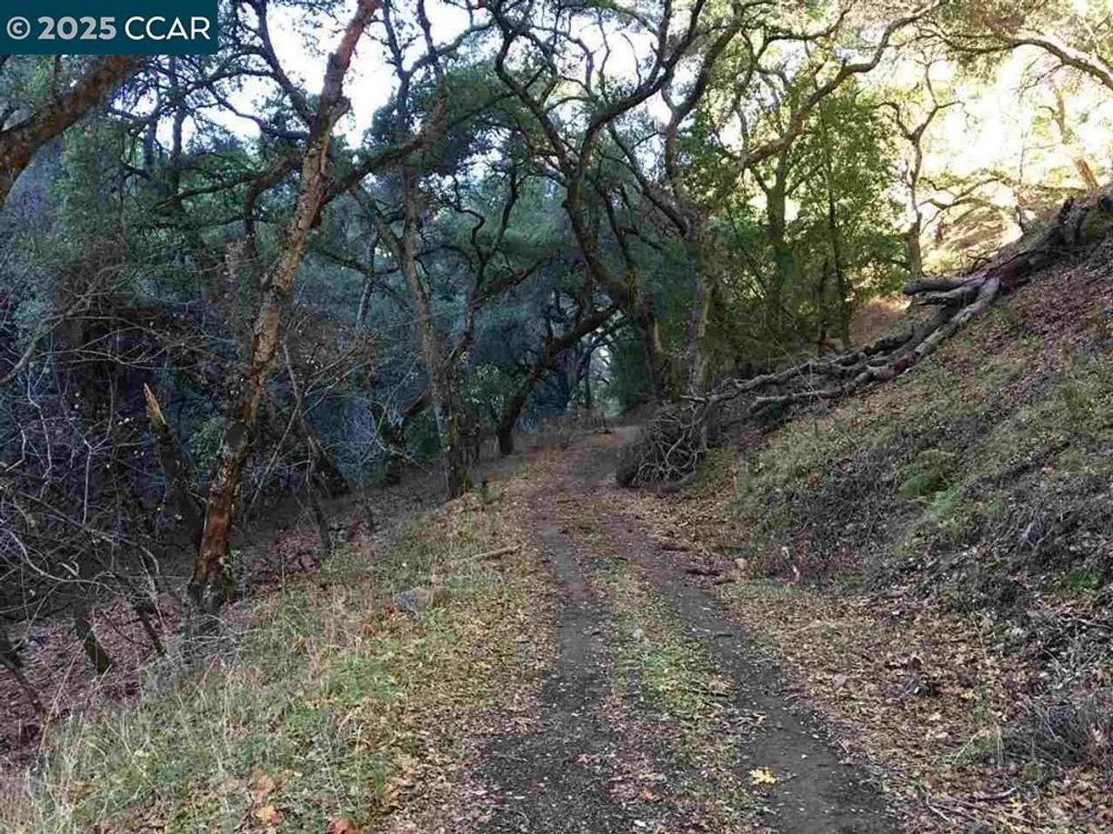 Northern California Real Estate | View Lark Ln | Listing