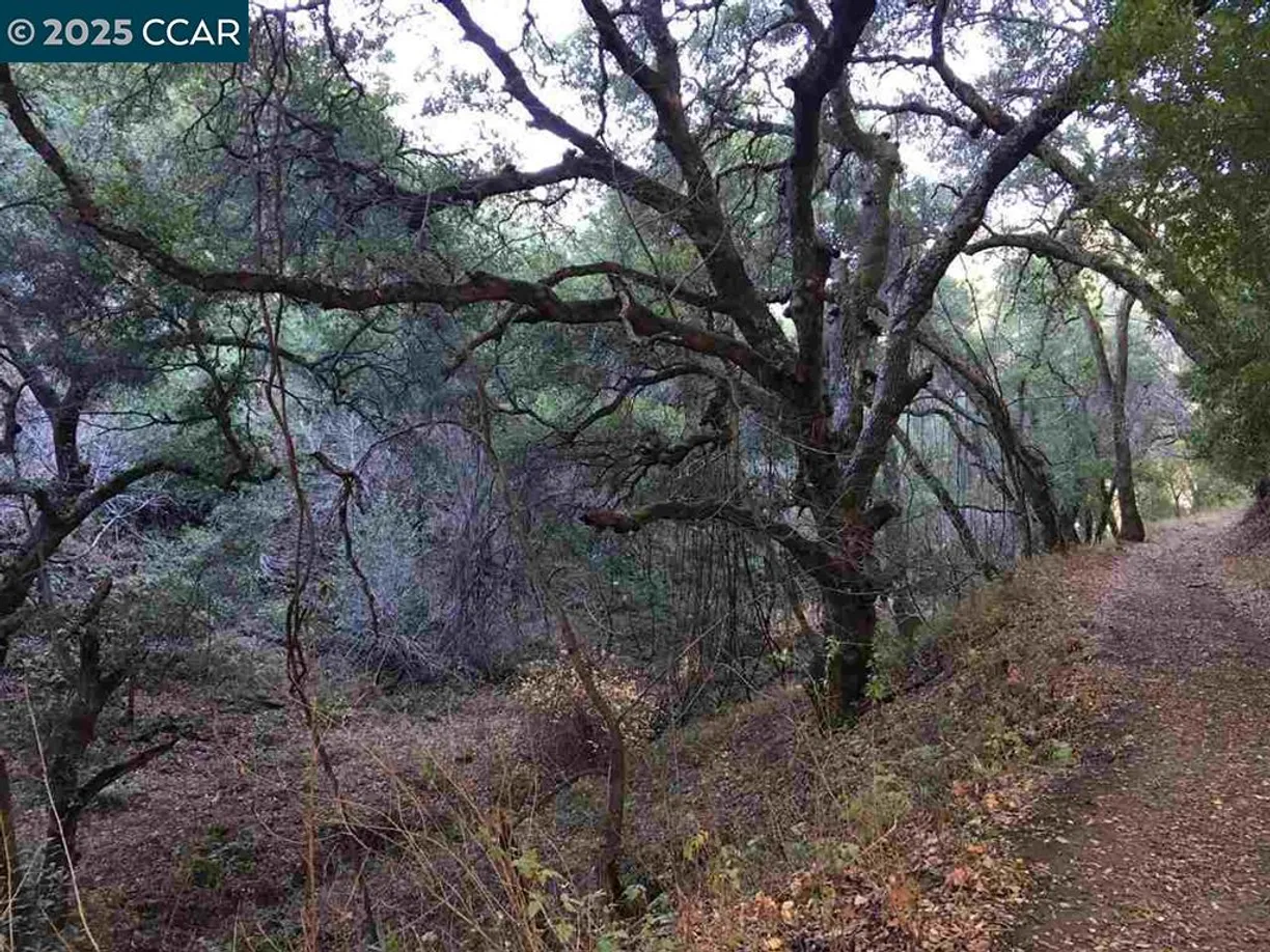 Northern California Real Estate | View Lark Ln | Listing