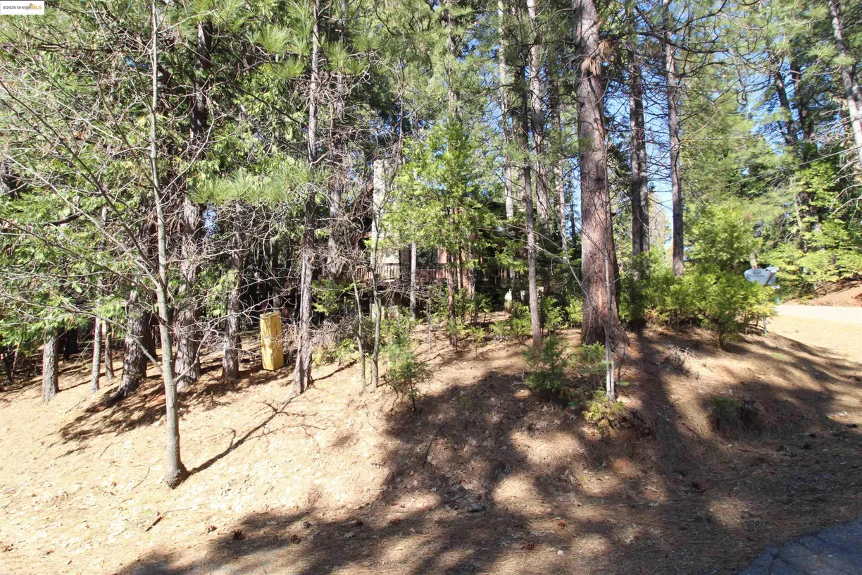 Northern California Real Estate | View Quarter Horse | Listing
