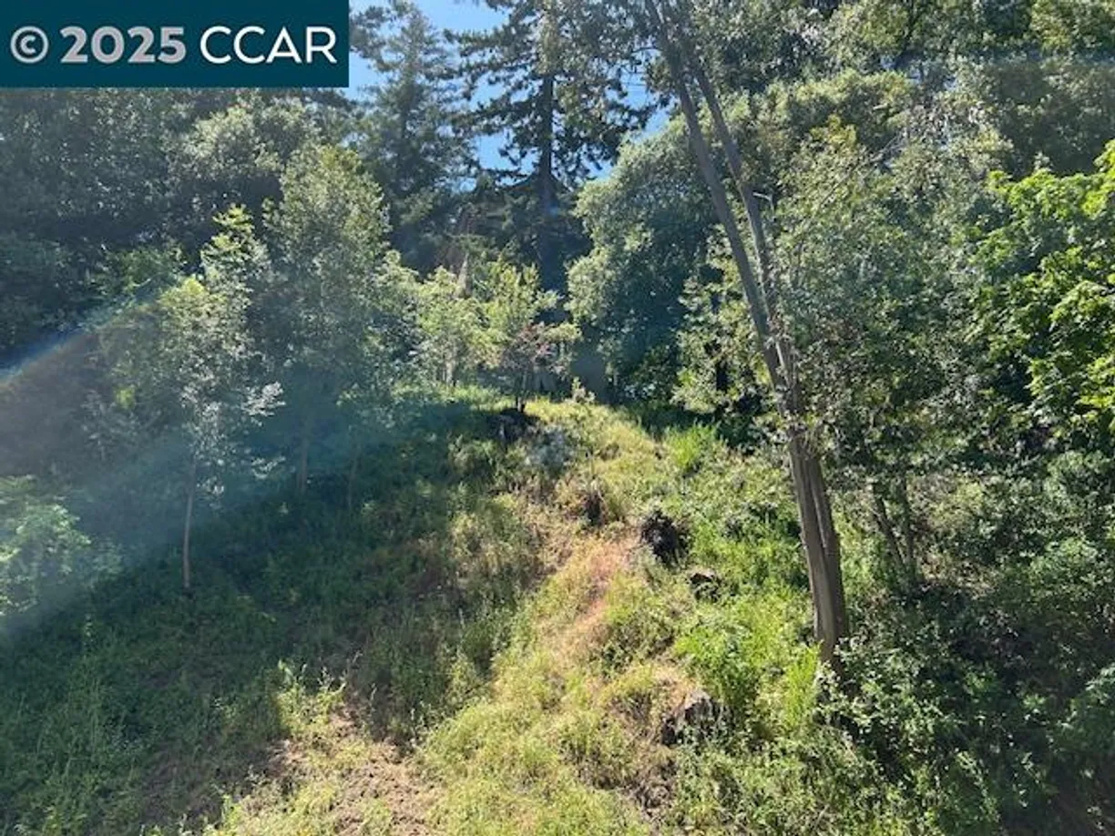 Northern California Real Estate | View  | Listing