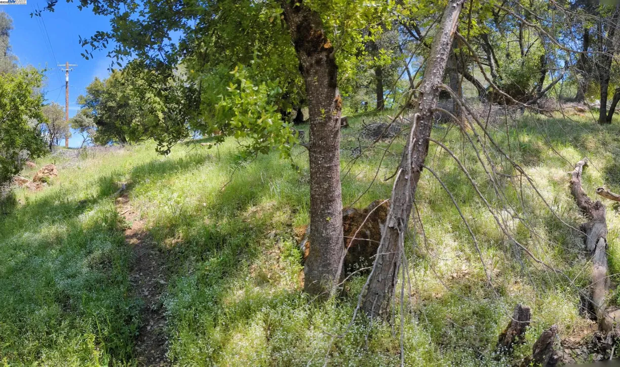 Northern California Real Estate | View Crystal Falls Dr | Listing
