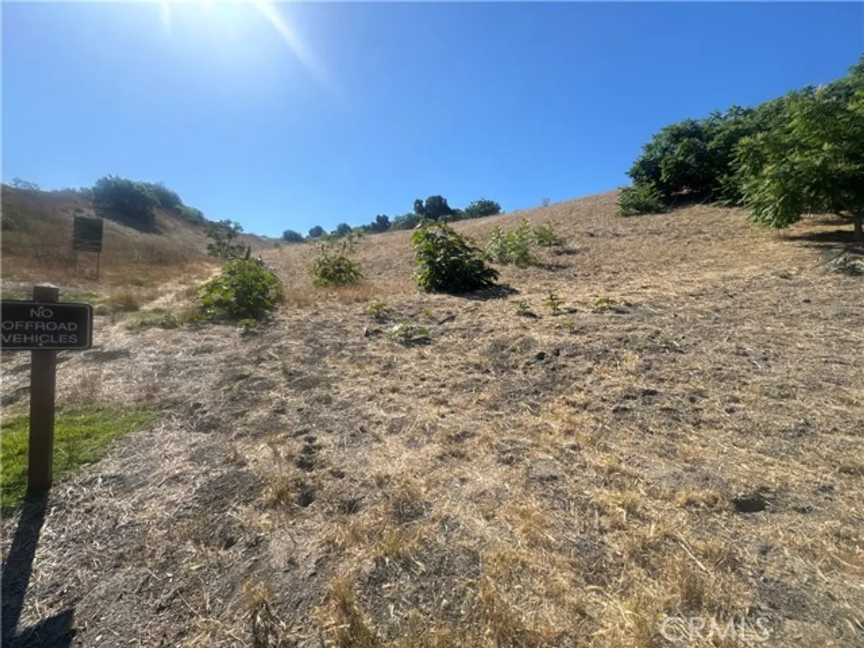 Northern California Real Estate | View Randolph | Listing