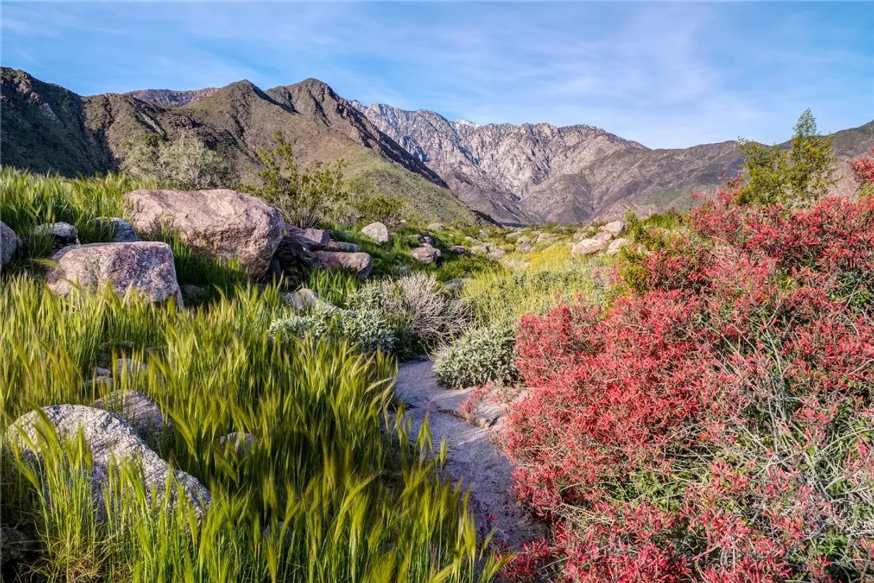 Northern California Real Estate | View City View Drive | Listing