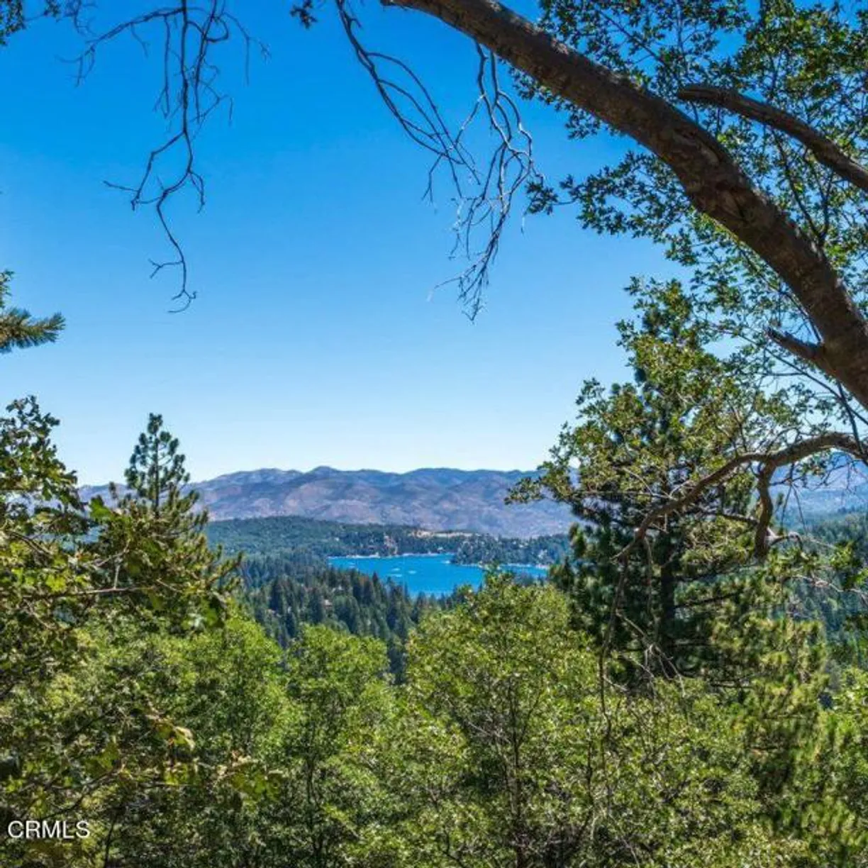 Northern California Real Estate | View Mill Pond Road