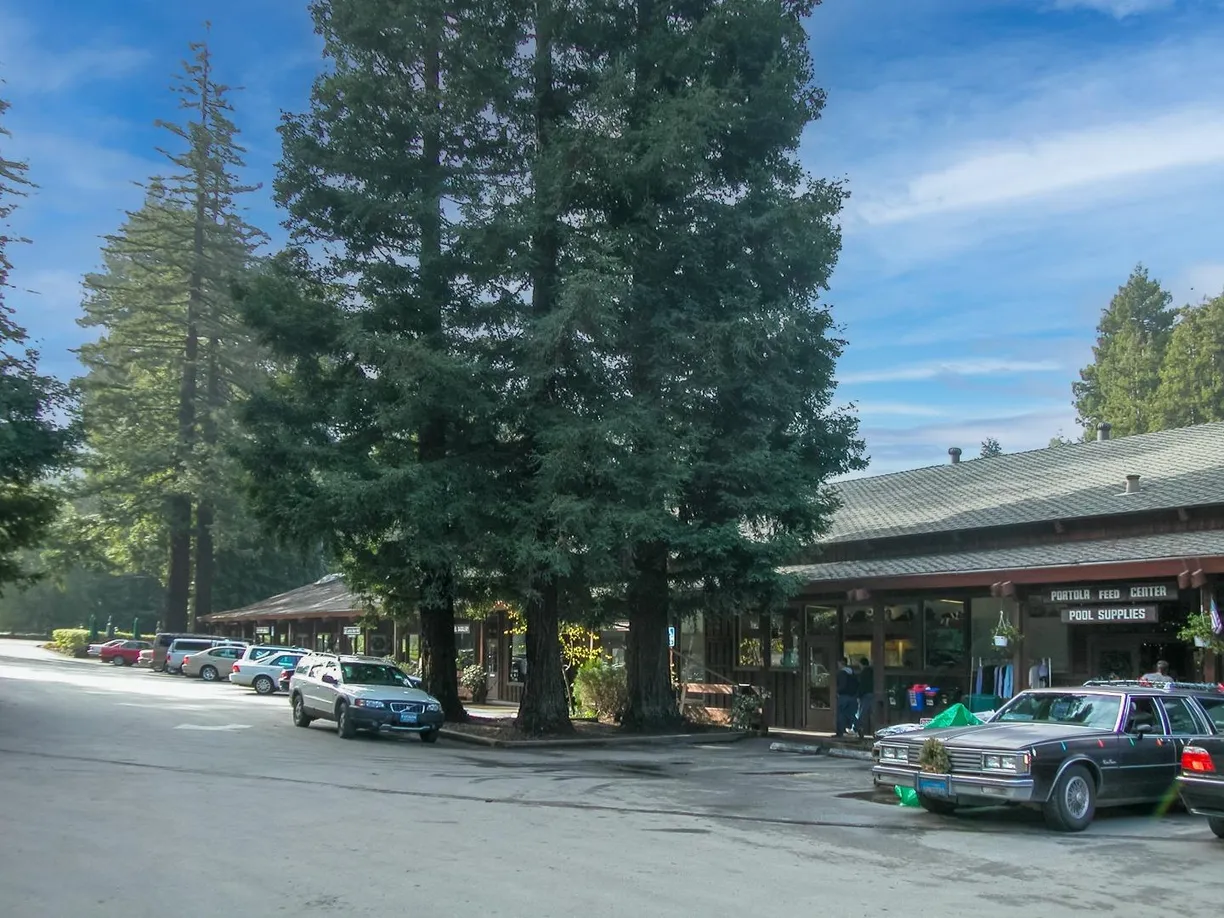 Northern California Real Estate | View Portola Road | Listing