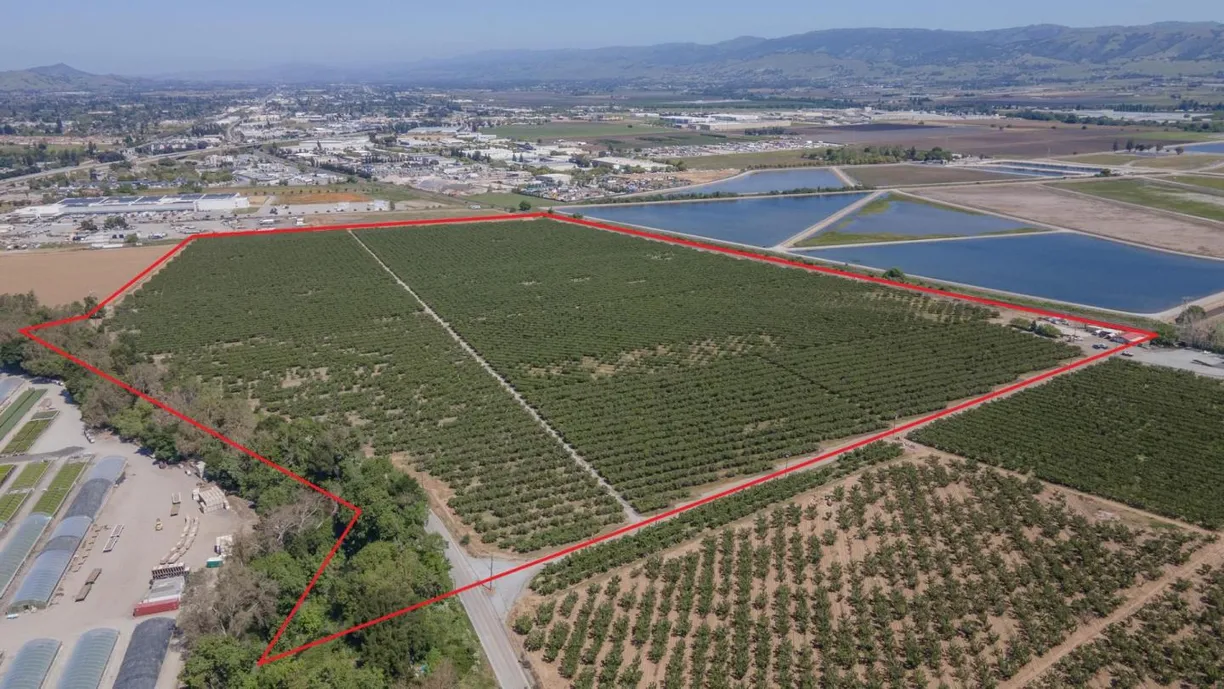 Northern California Real Estate | View Bolsa Road | Listing