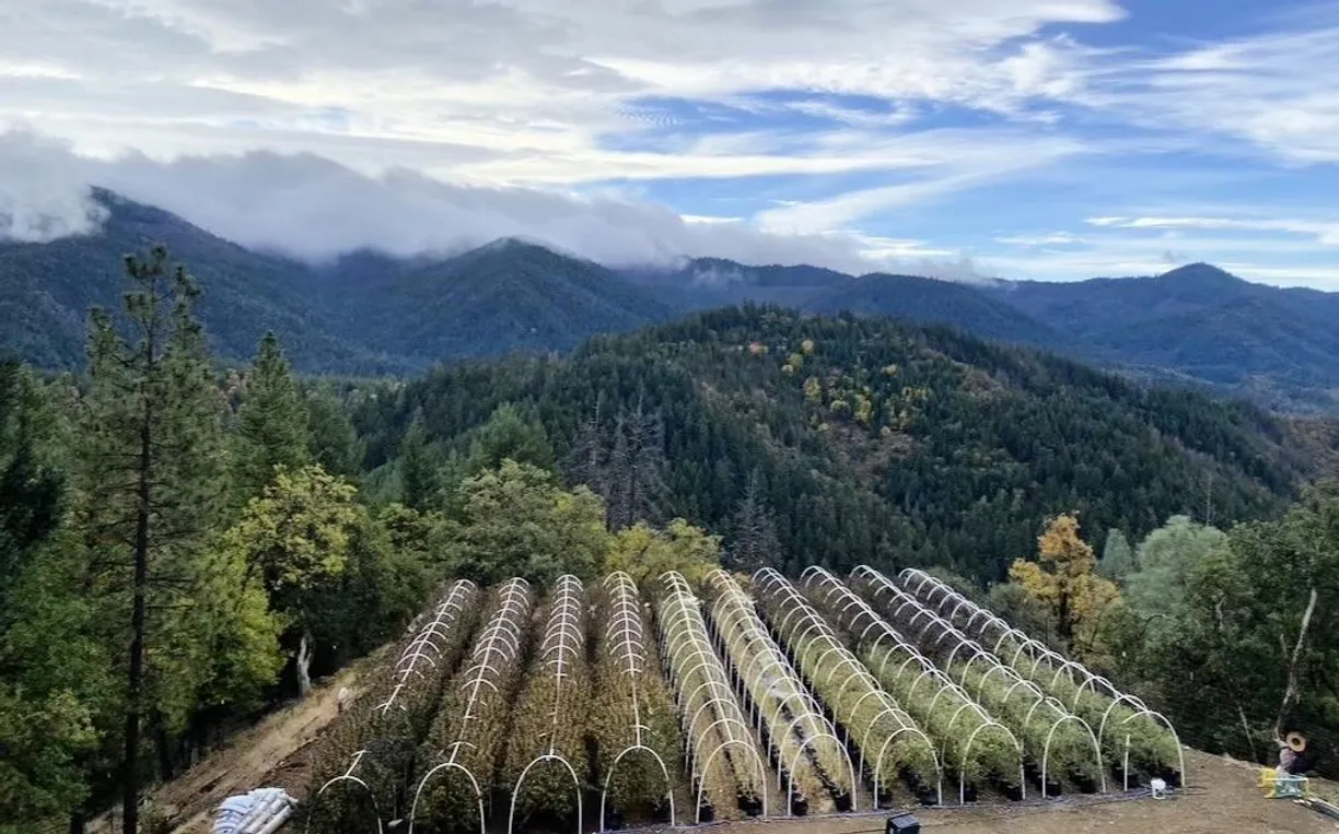 Northern California Real Estate | View Devils Gulch Road | Listing