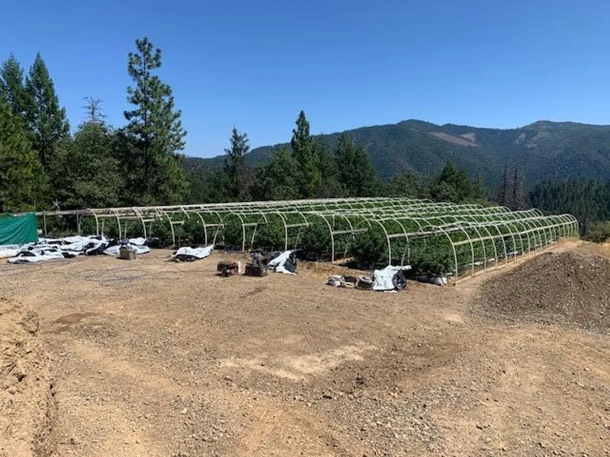 Northern California Real Estate | View Devils Gulch Road | Listing