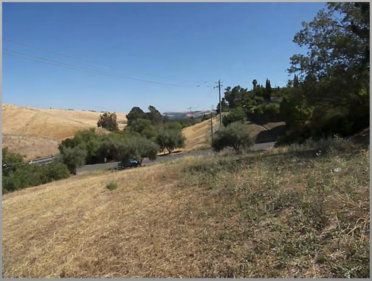 Northern California Real Estate | View Devlin | Listing