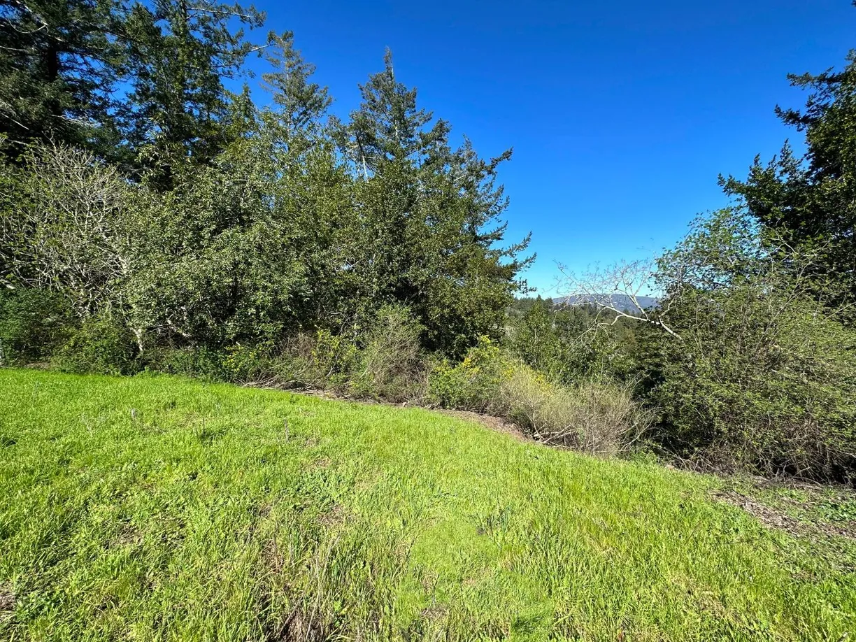 Northern California Real Estate | View Old Santa Cruz Highway | Listing