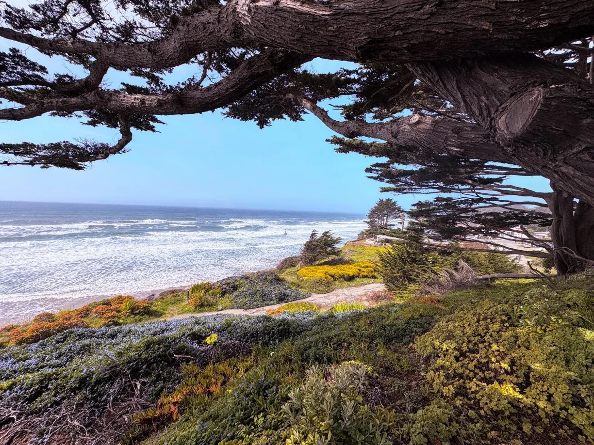 Northern California Real Estate | View Ocean