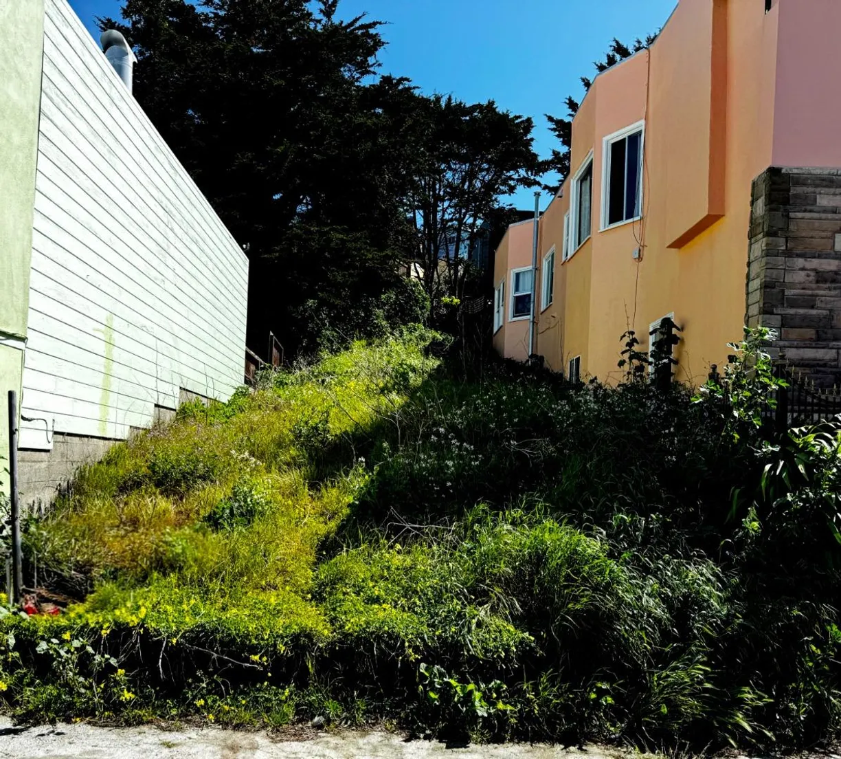 Northern California Real Estate | View Santa Cruz Avenue | Listing
