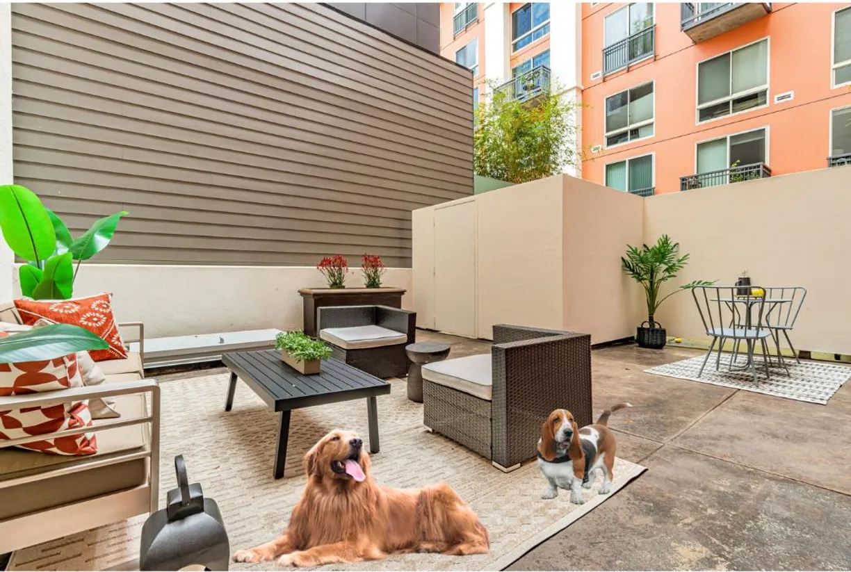 Northern California Real Estate | View Lansing Street, 108 | 1 Bed, 1 Bath