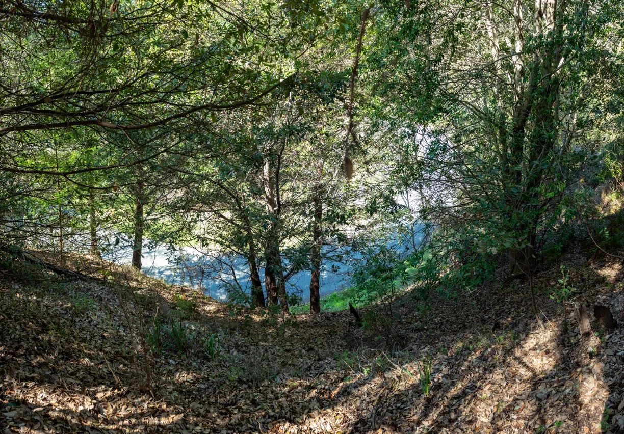 Northern California Real Estate | View Wolverine Way | Listing
